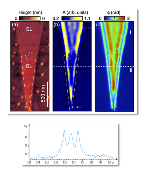 SNOM phase line profile