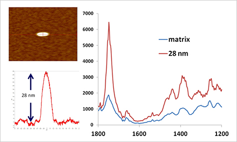 AFM IR image