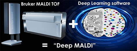Bruker MALDI TOF
+Deep Learning software = ¡°Deep MALDI¡±