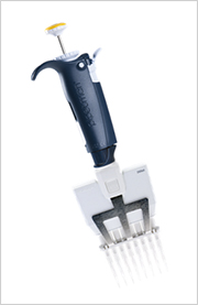 ��PIPETMAN L Multi
