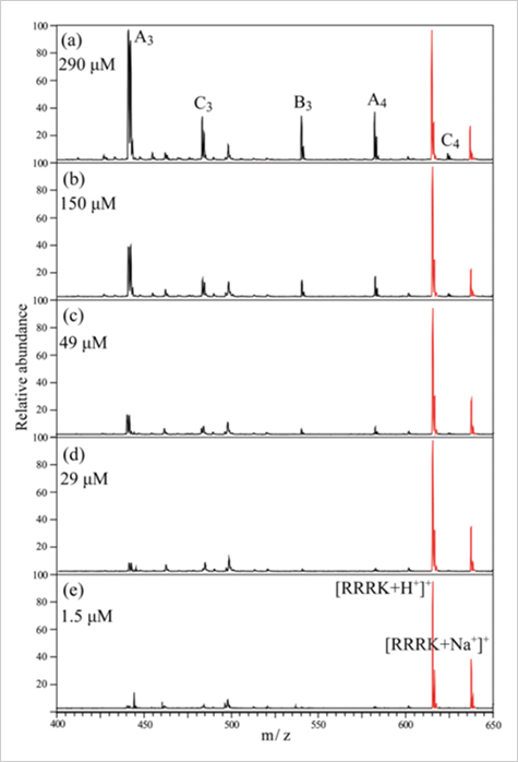 Figure 2. MALDI-TOF mass spectra of a PHMG sample acquired with an RRRK internal standard. The RRRK concentration was fixed at 0.1 mM and the PHMG concentrations were (a) 290 ��M, (b) 150 ��M, (c) 49 ��M, (d) 29 ��M, and (e) 1.5 ��M. Peaks shown in red correspond to protonated and sodiated RRRK.