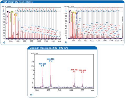 Fig3. õ  ũ (a) m/z 1,625.84  (b) m/z 2,226.16   MALDI-TOF MS/MS Ʈ. A, A ', B  B'   ܷü M  4   ٸ fragment ø Ÿ. (c) PMMA 1,900 MALDI-TOF MS / MS Ʈ Ȯ(m/z 500 ~ 600).